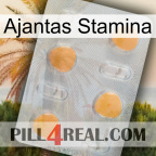 Ajantas Stamina 24